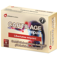 cartilage
