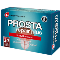 prosta-repair